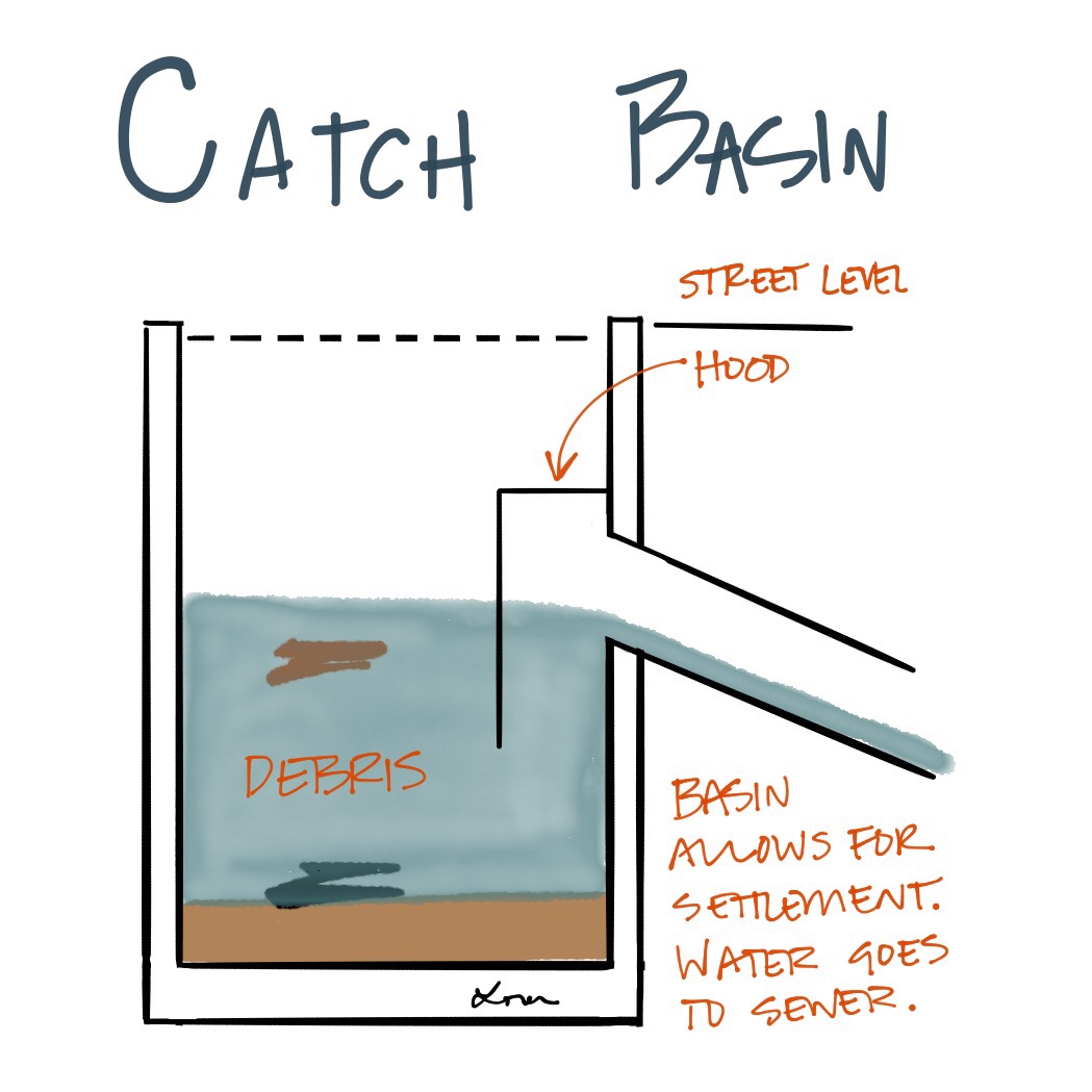 Catch basins act as filters for sewer systems. #AREsketches - L² Design